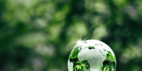 Glass globe in a forest